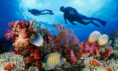Koh Chang Diving & Island Guide
