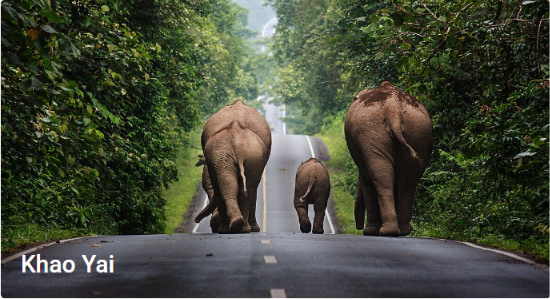 Khao Yai National Park