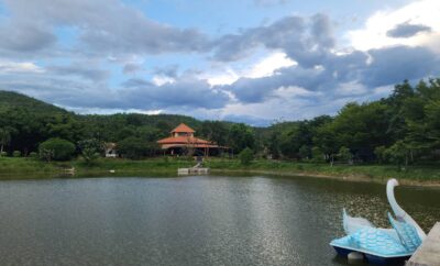 Kaengkrachan Diamond Green