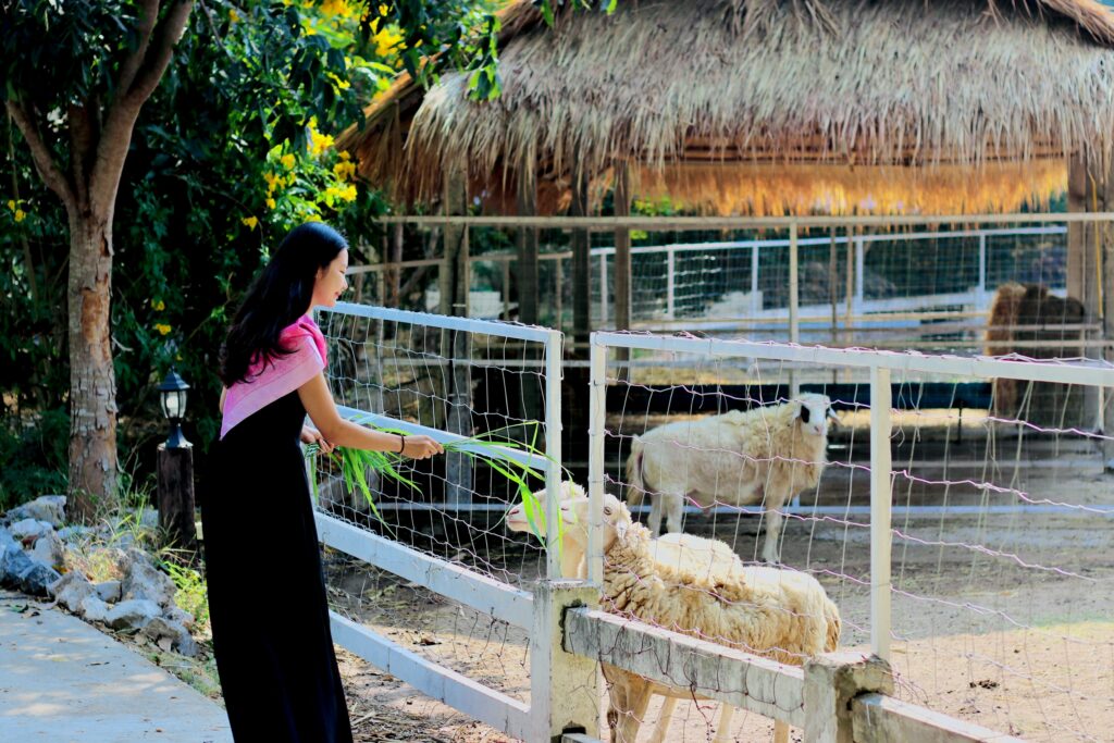 Parvati-chiva-view-06